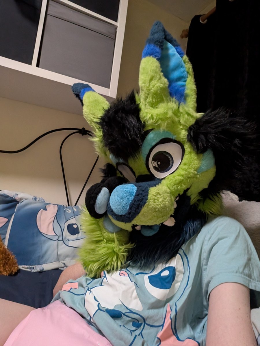 ArchyKitty tweet media