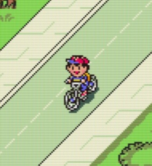 PREOCUPANTE! Maioria dos jovens não sabem os riscos de comprar uma bicicleta em earthbound