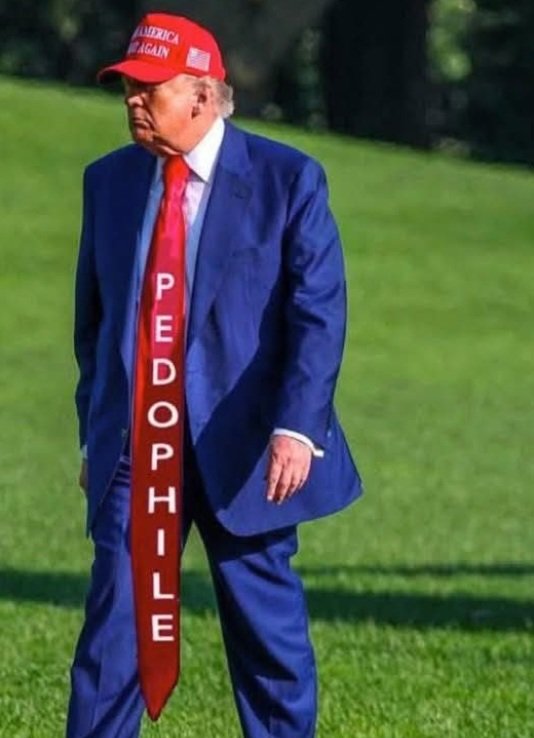 Lilylilylily016's tweet photo. @NHL Shame on all of them for partying with maga pedophile protectors and speaking with that pedophile trump. Disgusting. https://t.co/YGckZB1fLN