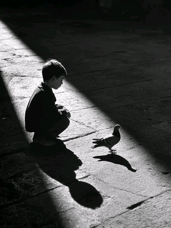 K M Dandibi tweet media