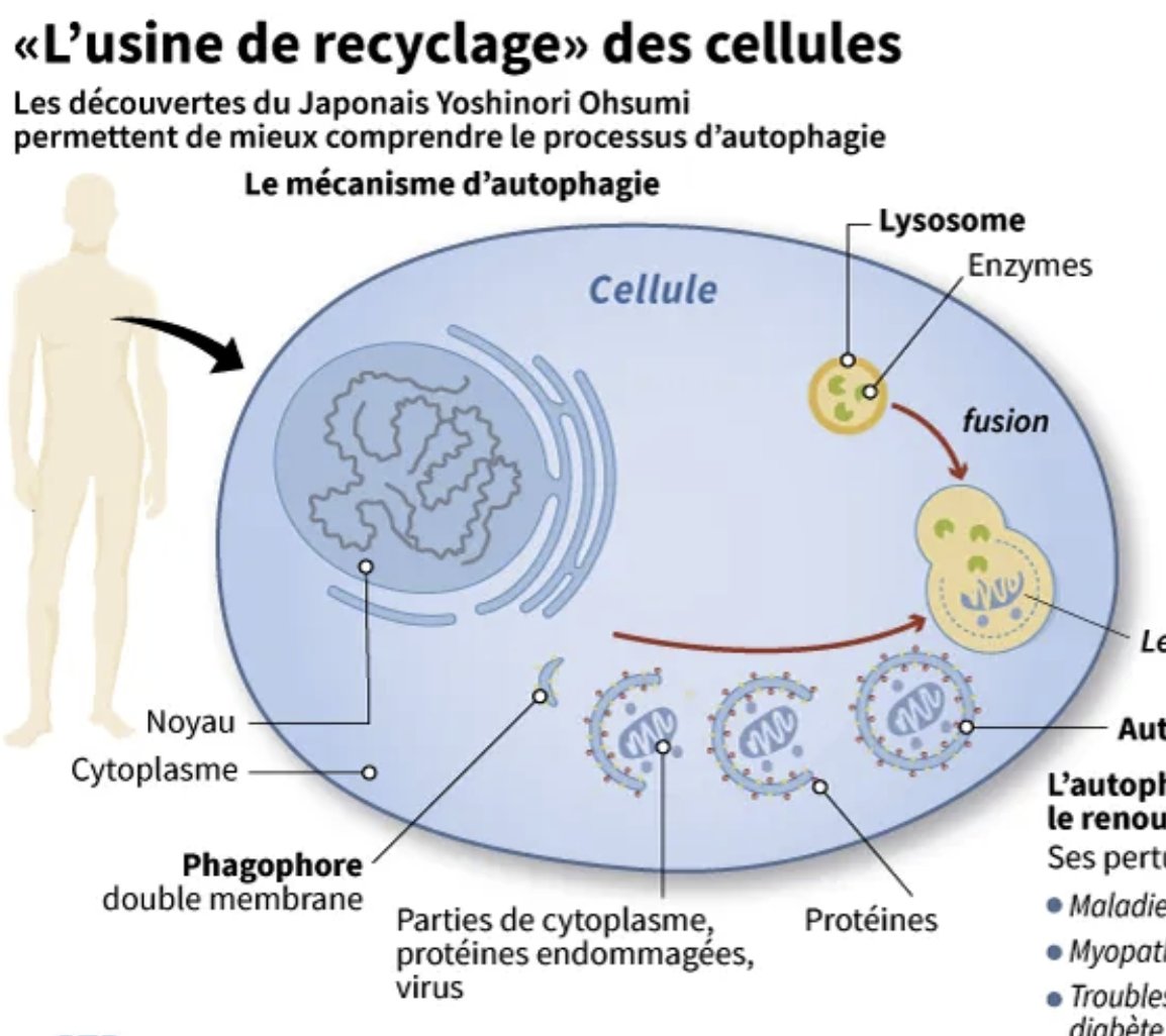 Fragments de Vérités tweet media