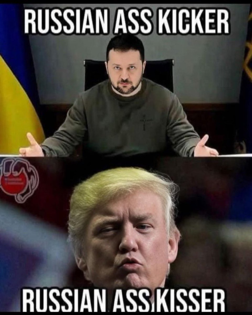 Athena Cat 🙌🇺🇦🇬🇪 (@acethecat21) on Twitter photo 