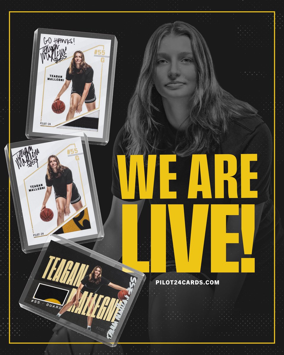 Pilot 24 tweet media