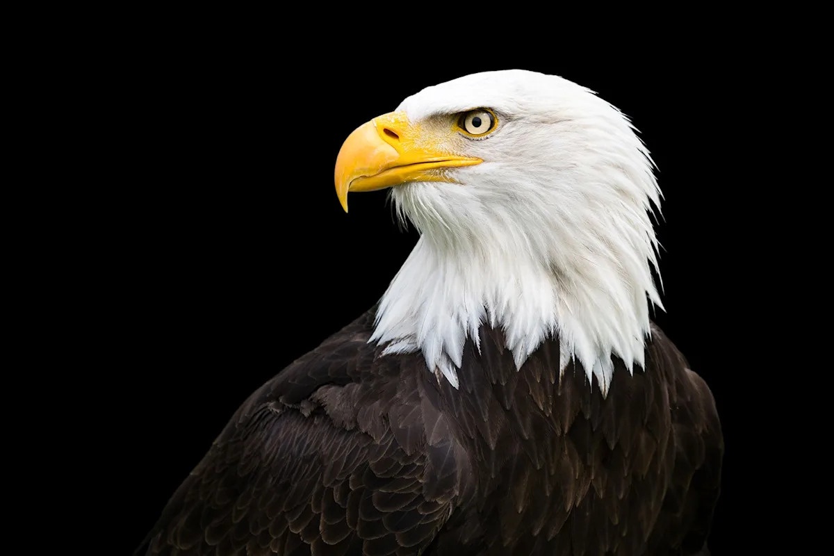 Animal Matters tweet media