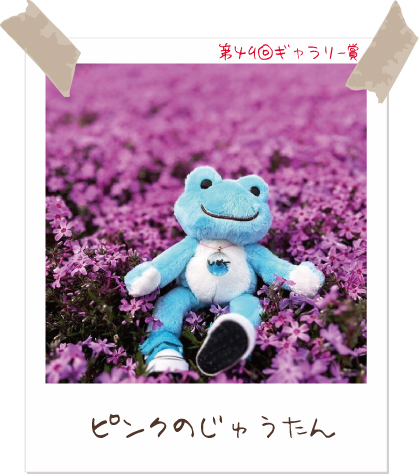 かえるのピクルス/pickles the frog (@picklesthefrog6) / Posts / X