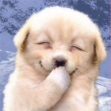 Spot the difference 😭