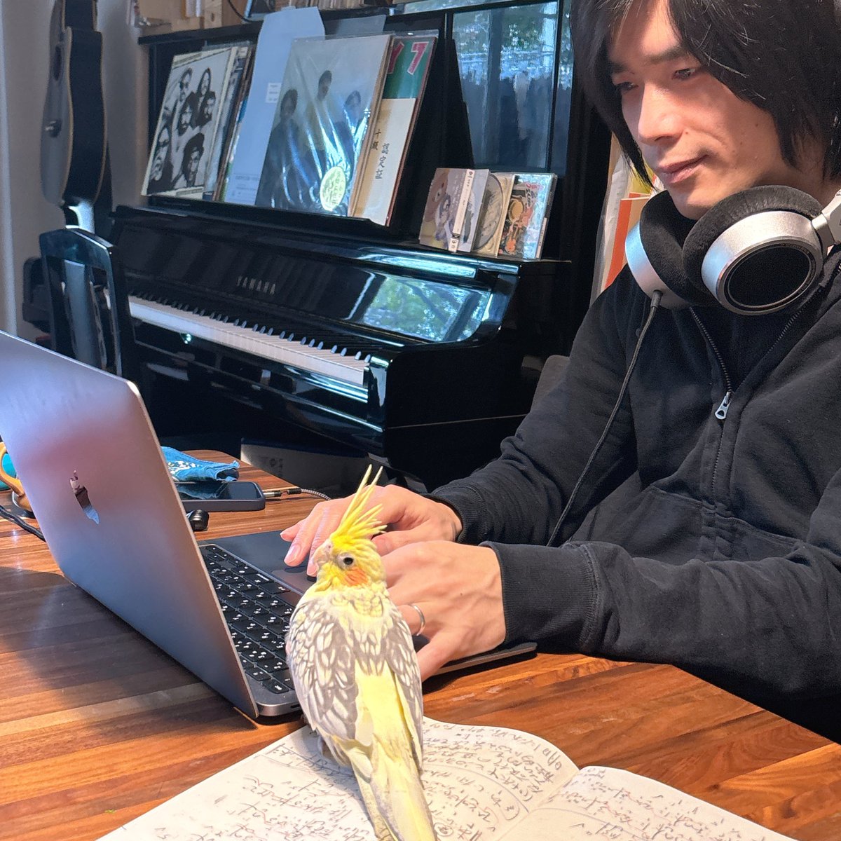 先週から家族が増えました🦜
たまに「ひよっ」と聞こえるくらいで穏やかなオカメインコちゃん。
お仕事見守り中🐦
<a href="/bandshijin/">青沼詩郎</a>