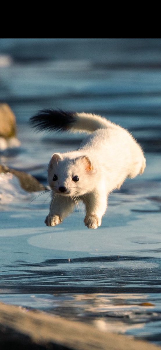 stop it rn I’m about to start crying