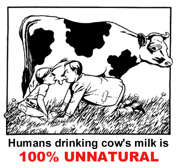 veganfuture's tweet photo. Humans drinking cow's milk is 100% UNNATURAL. #DitchDairy #GoVegan https://t.co/IxxmmpYZy1