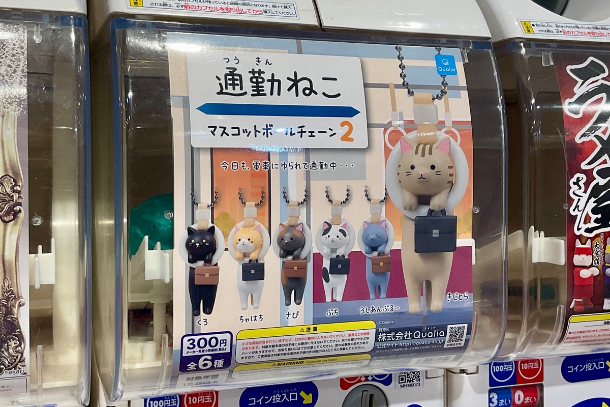 しょぼ tweet media