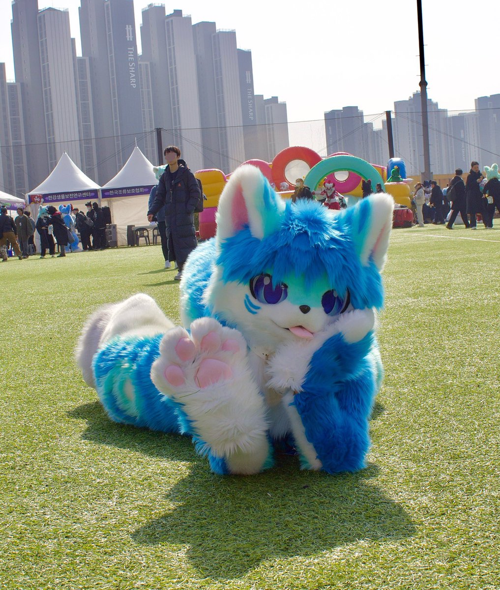 연유맛 연어 Yeonyu mat Yeoneo tweet media