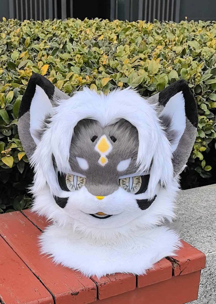 Umi Fursuit 유미 퍼슈트 공방 tweet media
