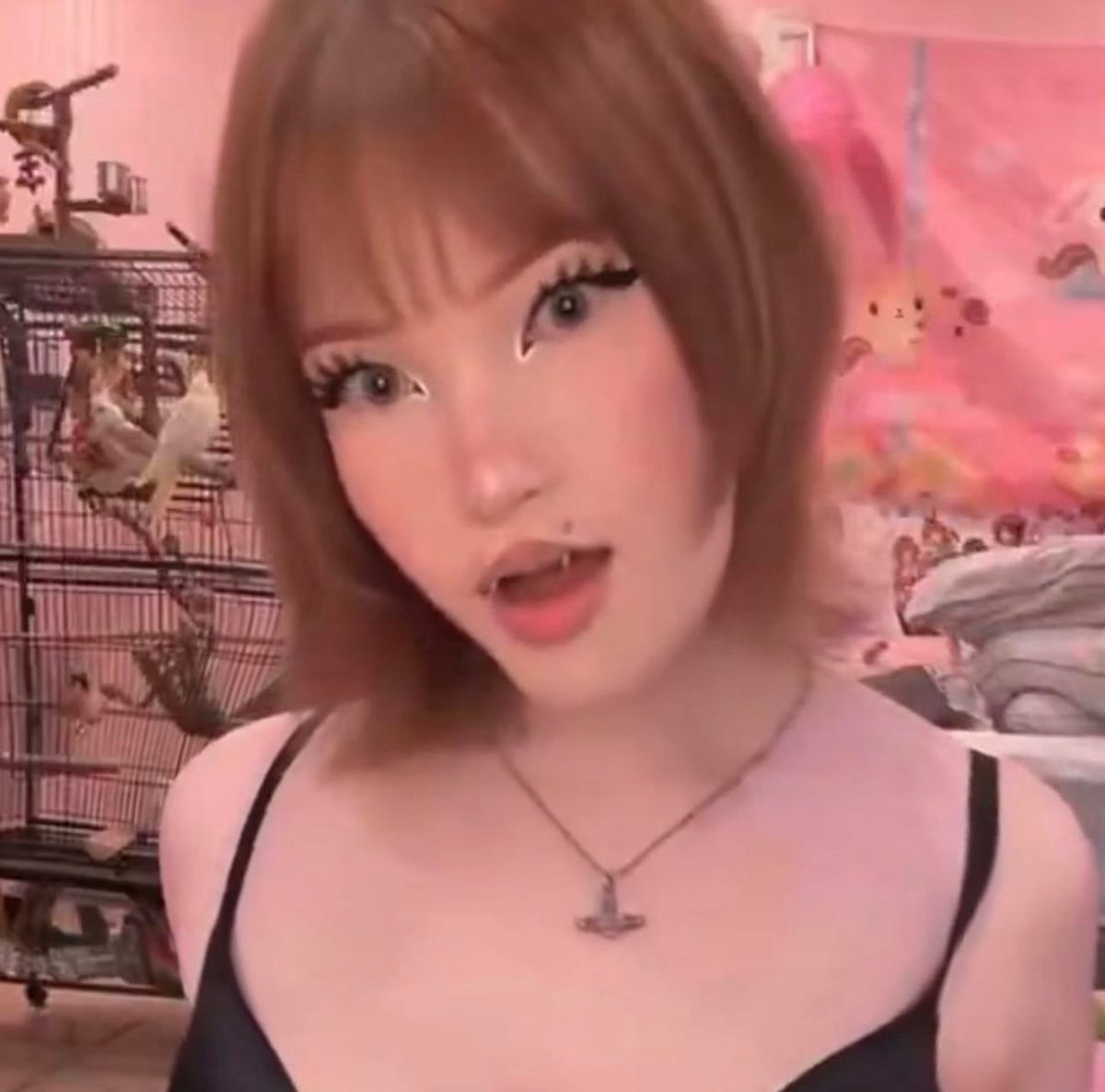 novvaa ⋆ tweet media