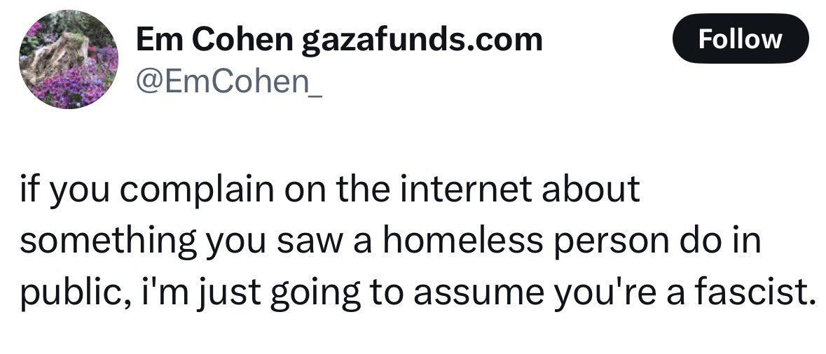 Amelia Adams tweet media