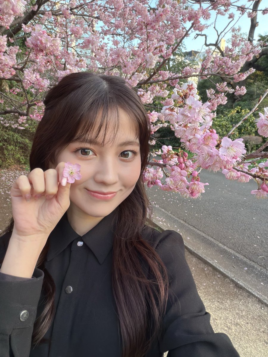 みっちゃん (@jsrYgGvecsTttdu) / Posts / X