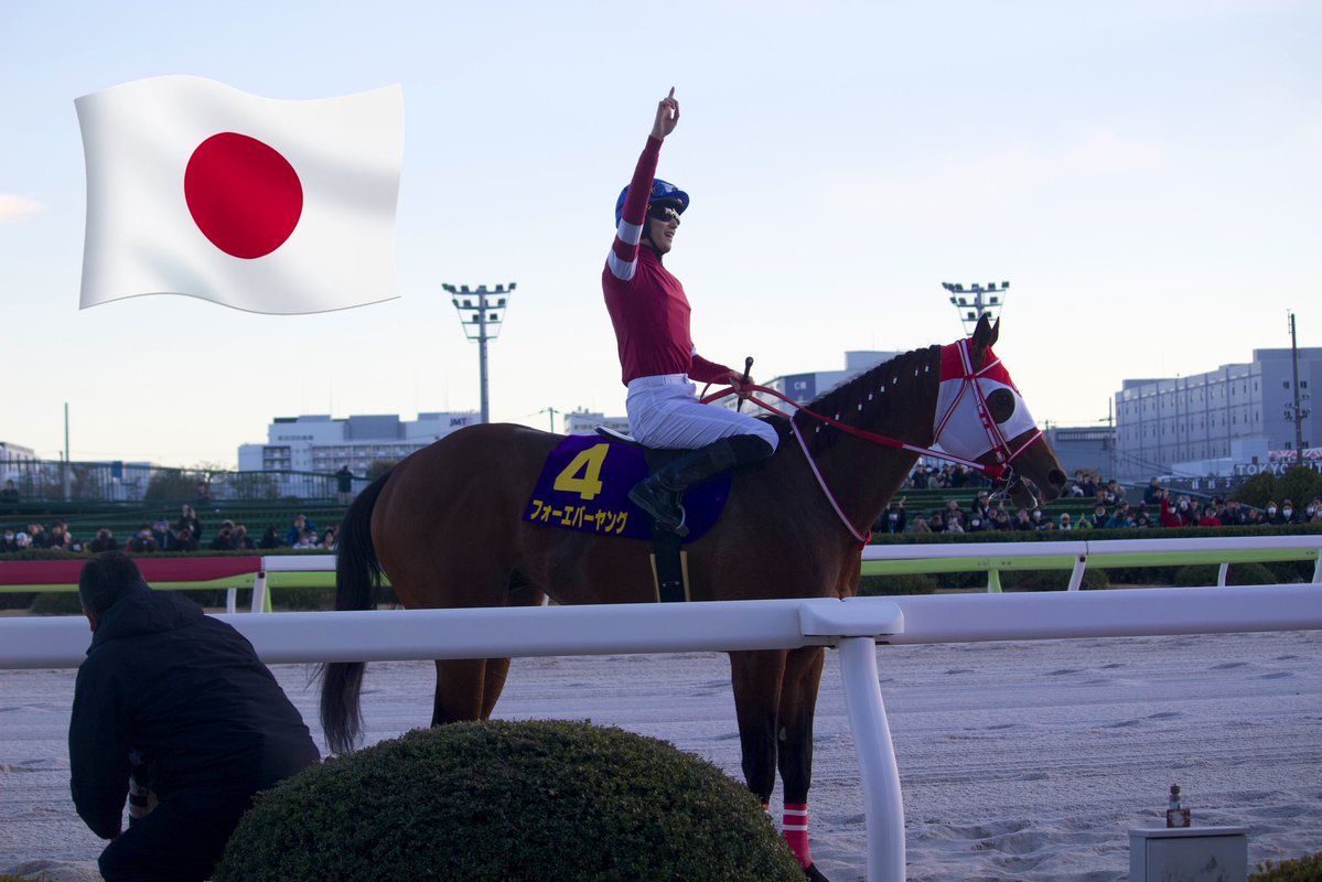 アナコンダ (@144anaconda) / Posts / X