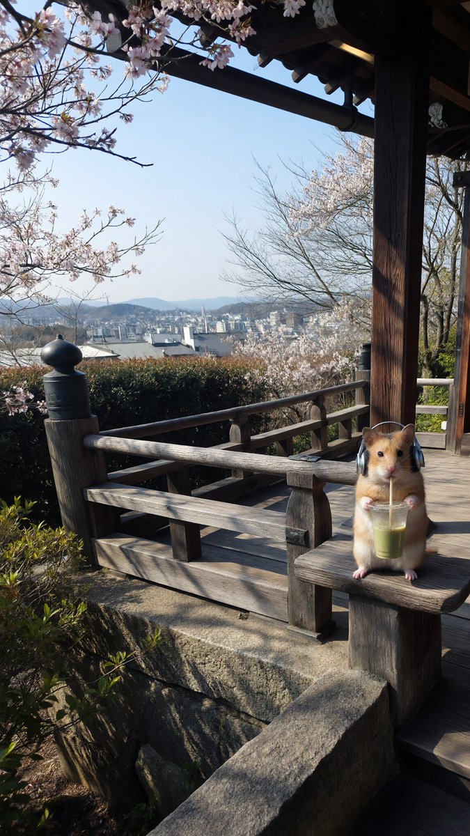 写真復活本舗 tweet media