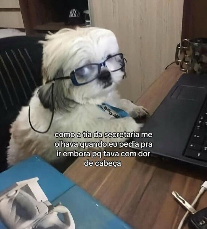 iti malias (@itimaliasof) on Twitter photo 