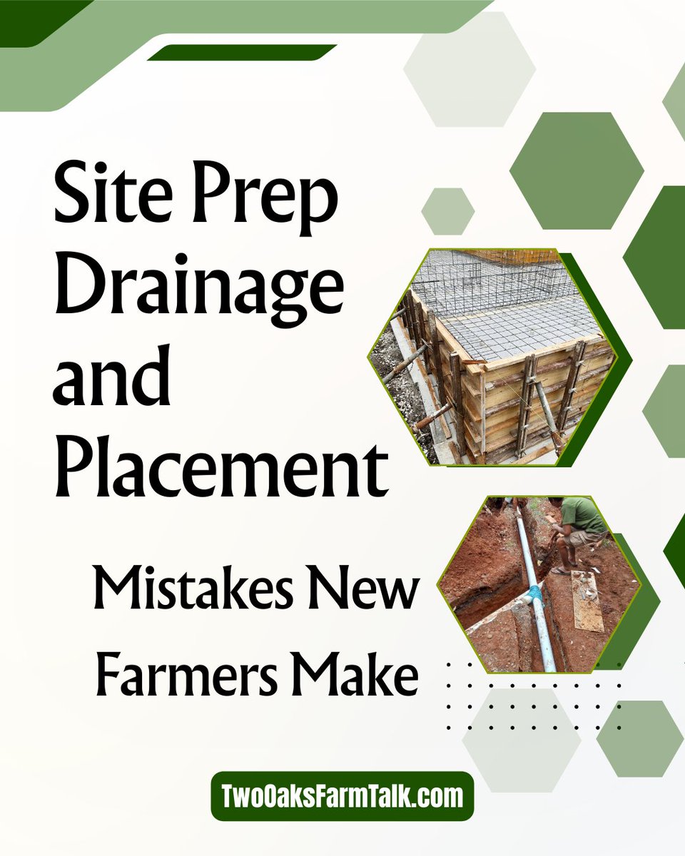 TwoOaksFarmGirl's tweet photo. Site Prep Drainage and Placement Mistakes New Farmers Make
https://t.co/Tg8jBrbH9T #FarmSitePrep #AgInfrastructure #FarmBuilding #HomesteadProjects #FarmConstruction #FarmPlanning #BuildItRight #RuralConstruction https://t.co/9eZ4Ipkp2A