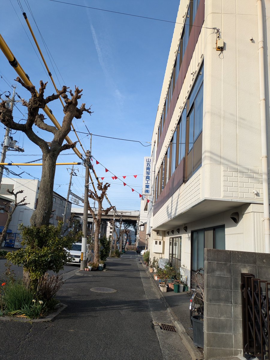 yamago_ltd's tweet photo. おはやまご！
2/24 山口県周南市は🌞

2月、あっという間に最終週でワタワタ💦
凡ミスのないよう
やっていきましょう😇

#企業公式が地元の天気を言い合う
#企業公式相互フォロー https://t.co/RvH6dm0eeU