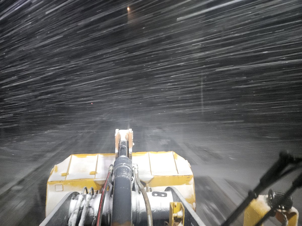 Jamie D Fox tweet media