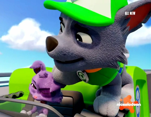 Zuma & Rocky Pups Fanatic tweet media