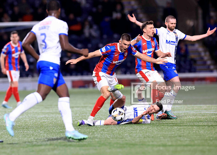 fredpalmerphotography tweet media