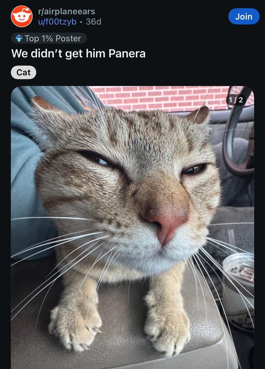 no context memes (@weirddalle) on Twitter photo 