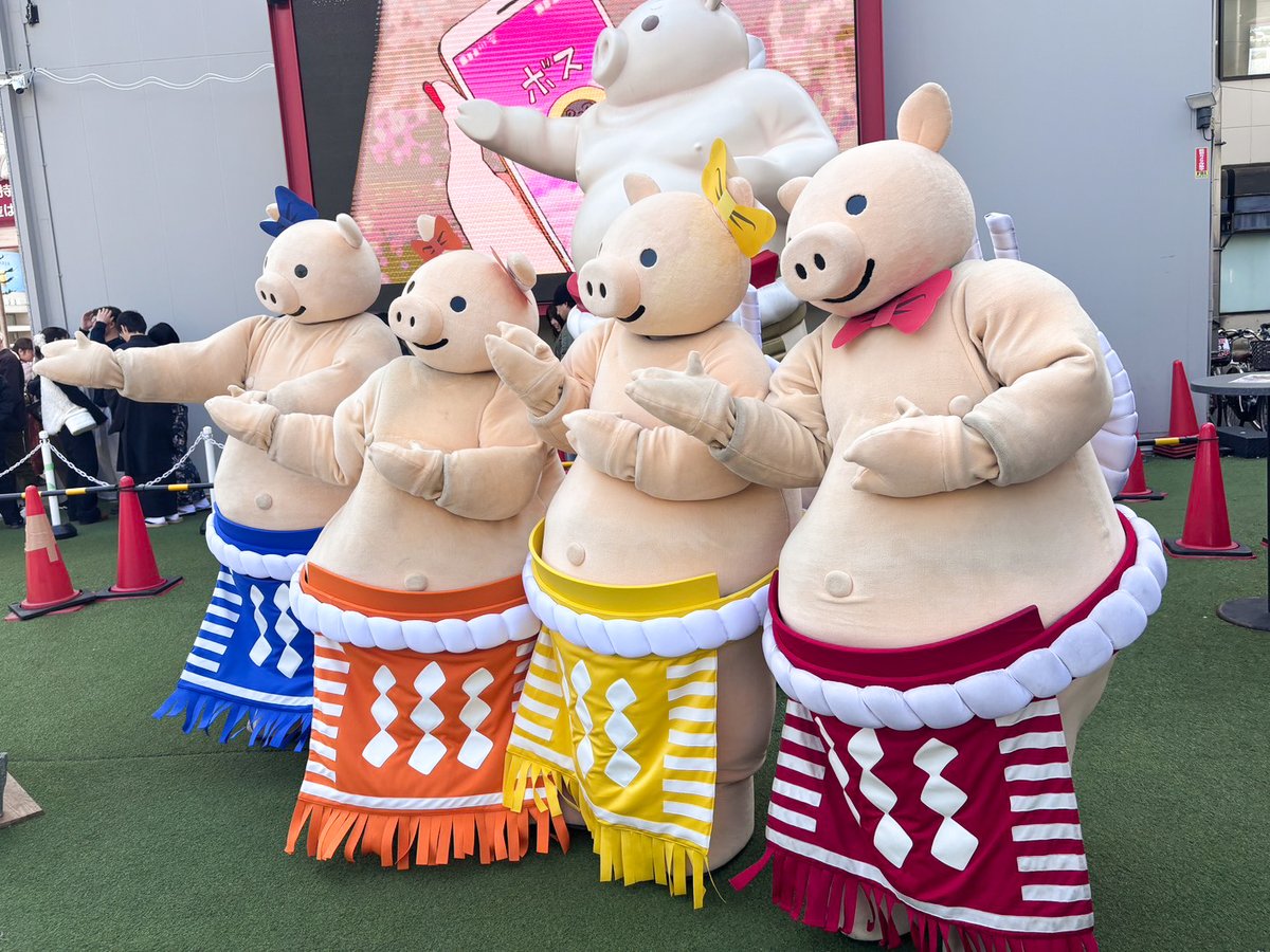 ぶーちゃんズ勢ぞろい！🐷❤️💙💛🧡』 ＃ぶーちゃんフォト