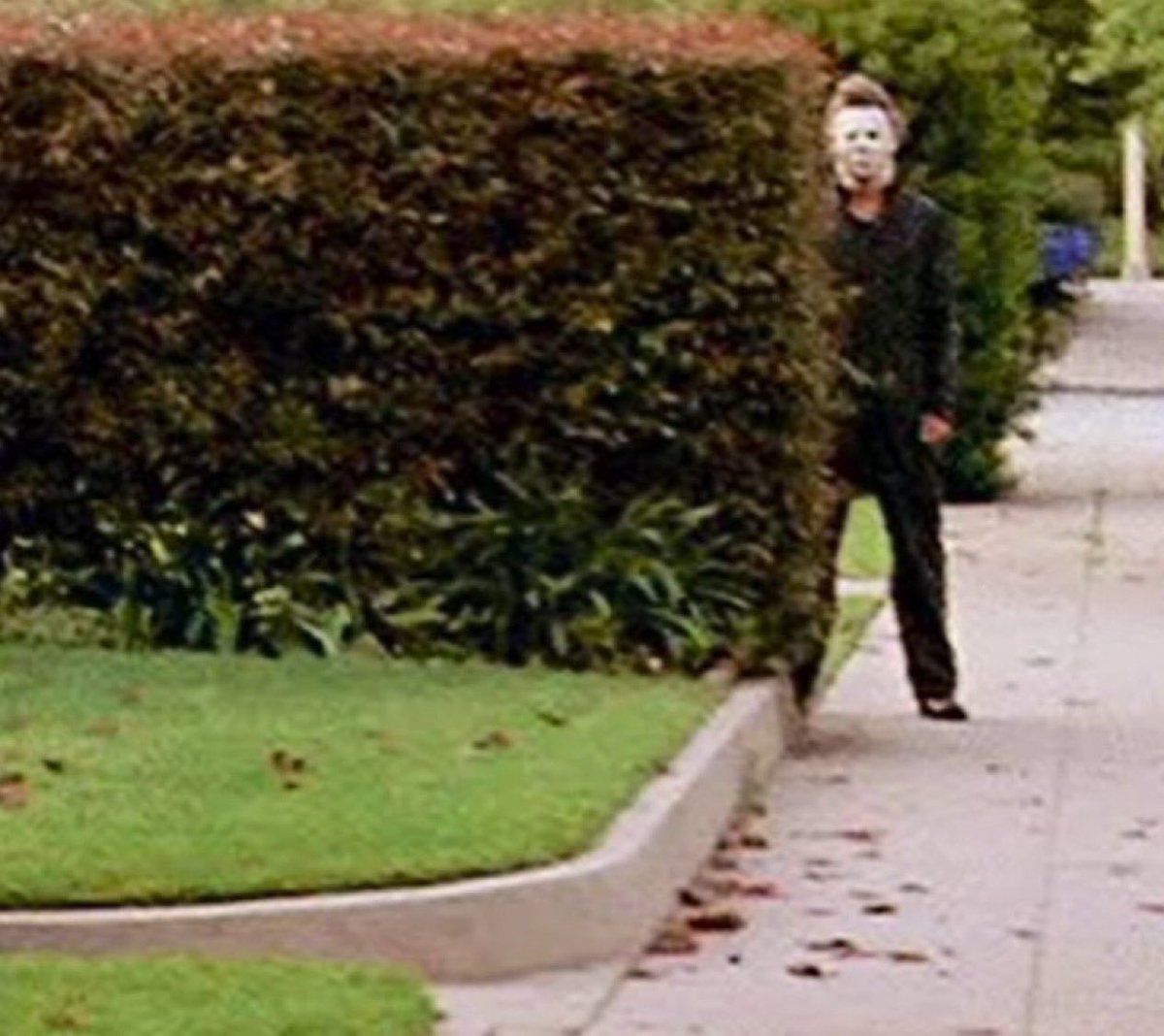 como m siento cuando por accidente veo una historia q subieron hace segundos