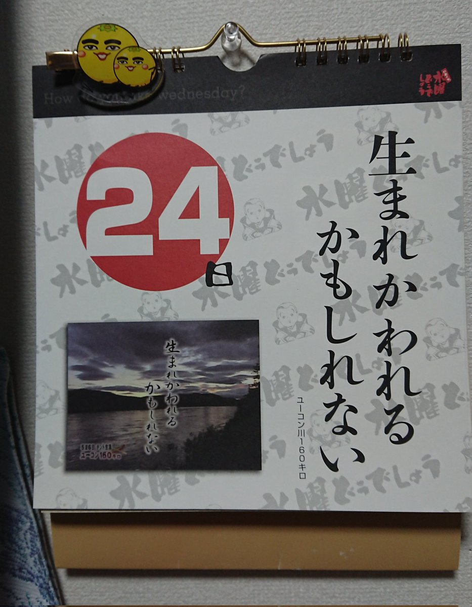 水曜どうでしょう