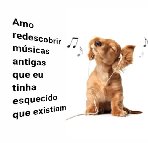 summer hits 2010 tem sido a minha serotonina diaria