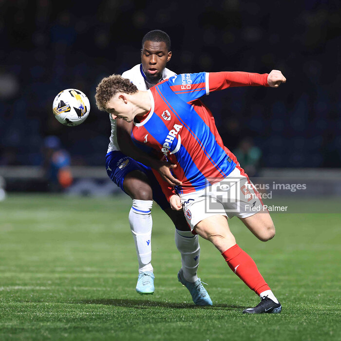 fredpalmerphotography tweet media