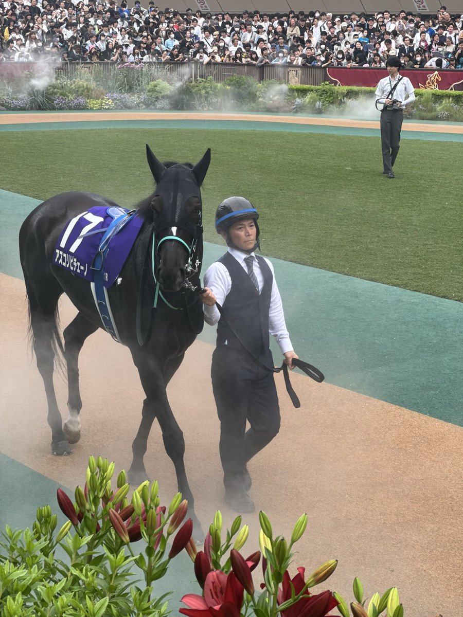 のぞみん (@nozomi_antz) / Posts / X