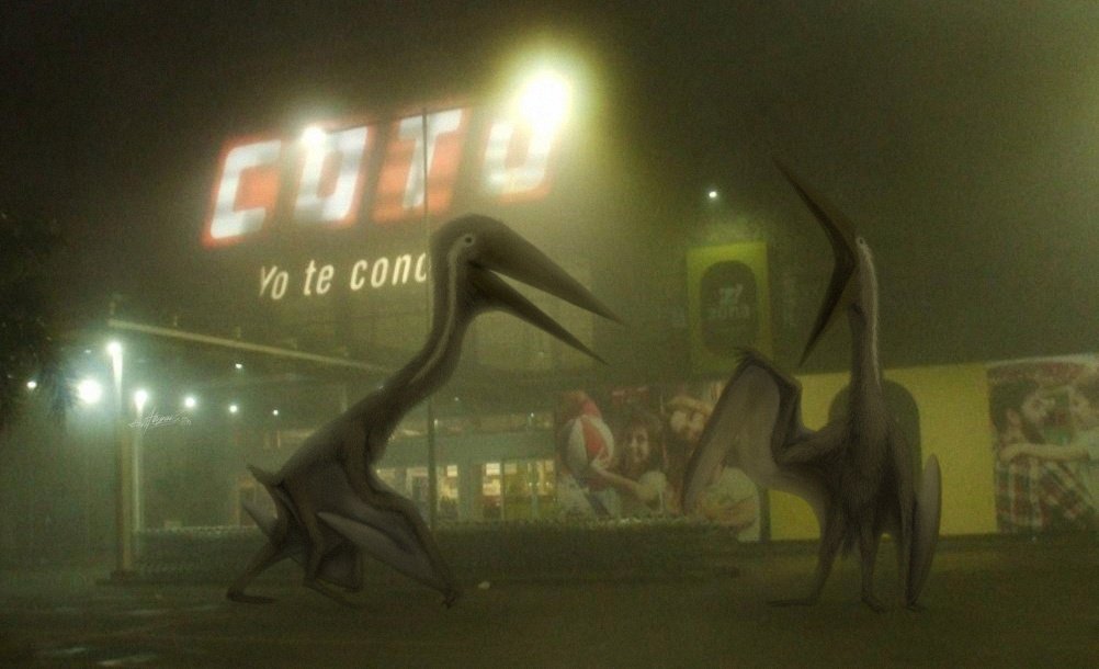 Abigail DX tweet media