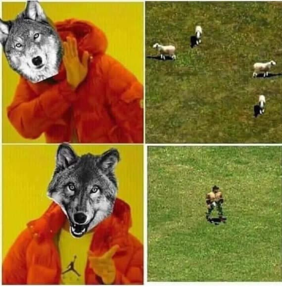 We did this on purpose in Age of Empires 2. You see, when the wolves attacked sheep, the players were outraged. They didn't even like it in Age of Empires when lions killed gazelles. "Those are MY gazelles." I guess real time strategy players aren't environmentalists. Look at how