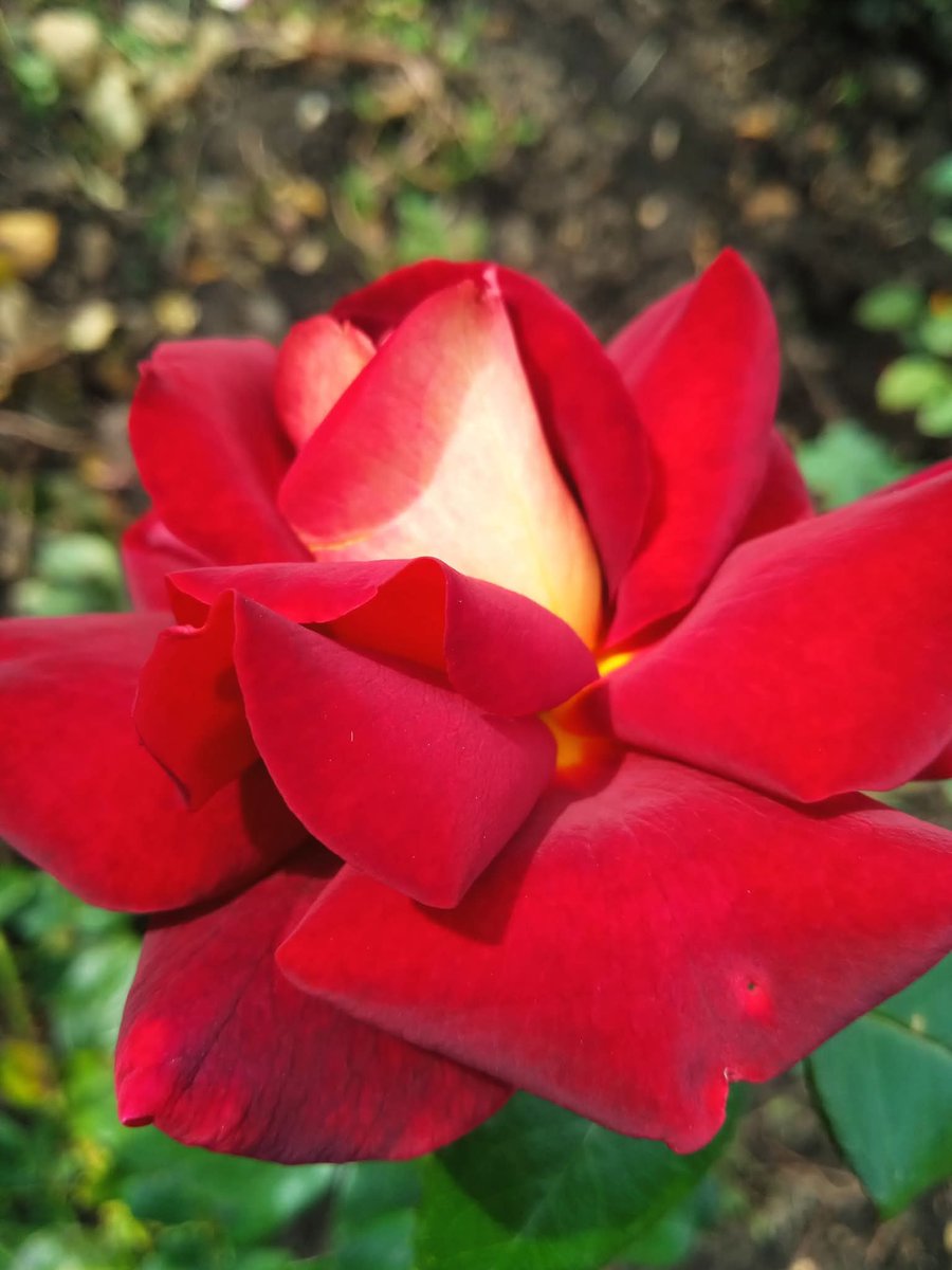 Karen Tabbal tweet media