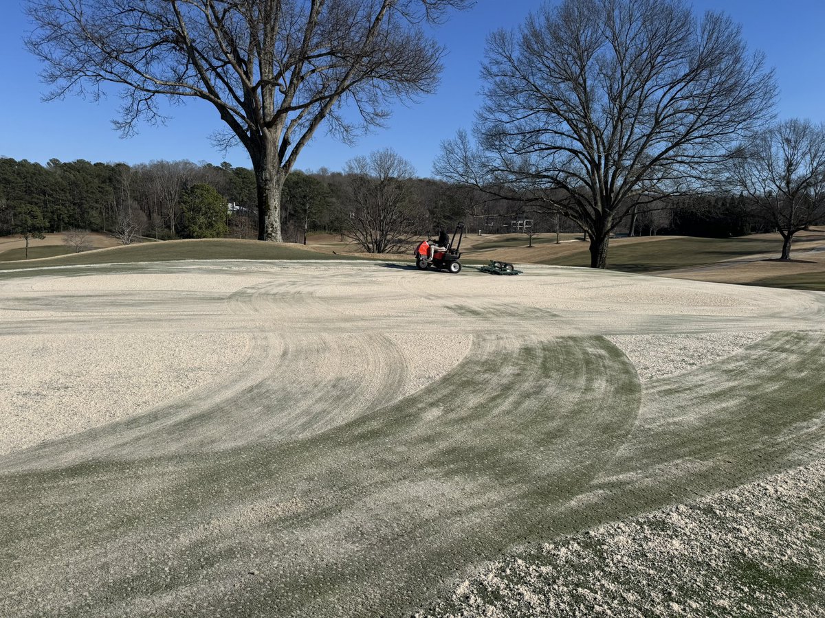 Joe Hollis tweet media