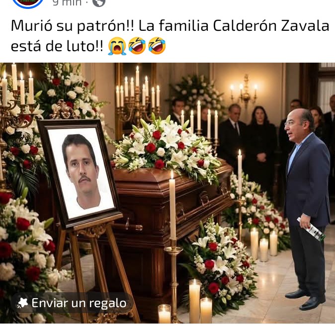 lulispumas's tweet photo. Triste día para Felipe Calderón se le fue el q le mandaba dinero a España para su Bacardi https://t.co/BwYjrzOlnk