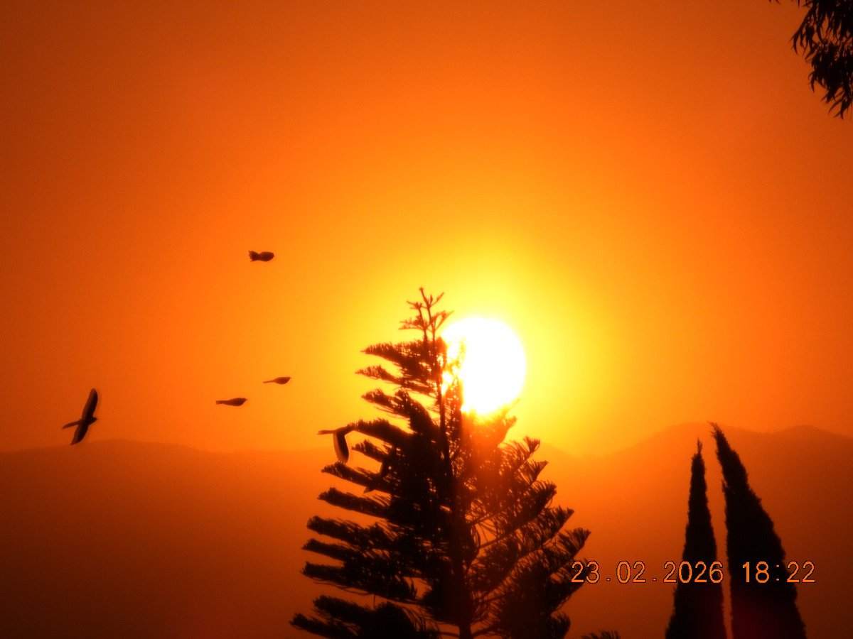 Julia Muñoz tweet media