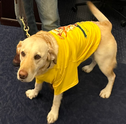 James (@jamesfarme86479) on Twitter photo 