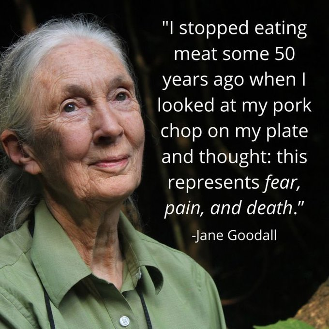 Vegan Future tweet media