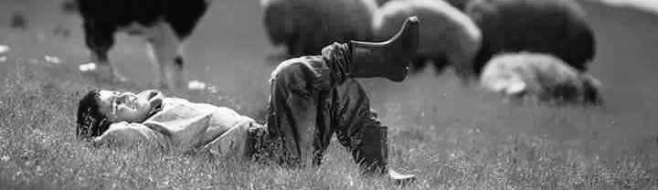 𝘞𝘩𝘦𝘯 𝘴𝘰𝘮𝘦𝘰𝘯𝘦 𝘪𝘴 𝘴𝘰𝘧𝘵 𝘸𝘪𝘵𝘩 𝘵𝘩𝘦 𝘸𝘰𝘳𝘭𝘥, 𝘪𝘵 𝘥𝘰𝘦𝘴𝘯'𝘵 𝘮𝘦𝘢𝘯 𝘵𝘩𝘦𝘺 𝘩𝘢𝘷𝘦𝘯'𝘵 𝘴𝘦𝘦𝘯 𝘩𝘢𝘳𝘴𝘩𝘯𝘦𝘴𝘴.𝘐𝘵 𝘮𝘦𝘢𝘯𝘴 𝘵𝘩𝘦𝘺 𝘤𝘩𝘰𝘴𝘦 𝘯𝘰𝘵 𝘵𝘰 𝘳𝘦𝘱𝘦𝘢𝘵 𝘪𝘵.