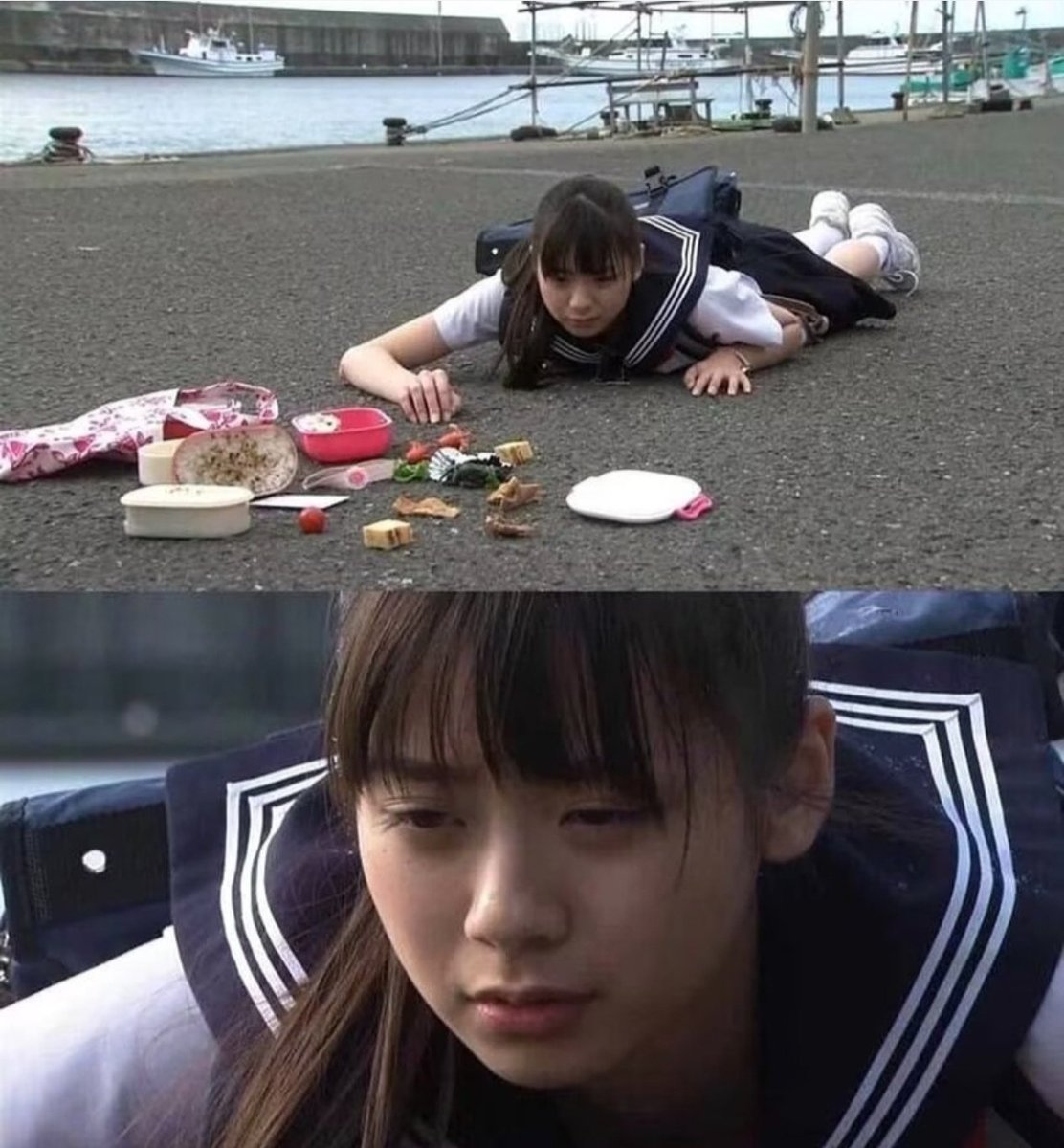 Turdus mandarinus tweet media