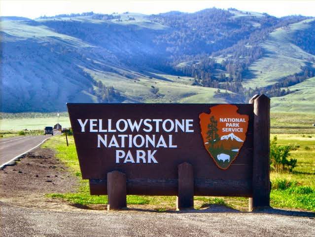 Fundación Caribe Sur tweet media