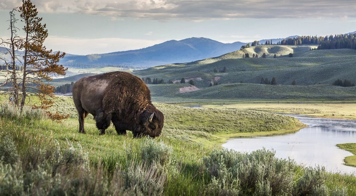 Fundación Caribe Sur tweet media