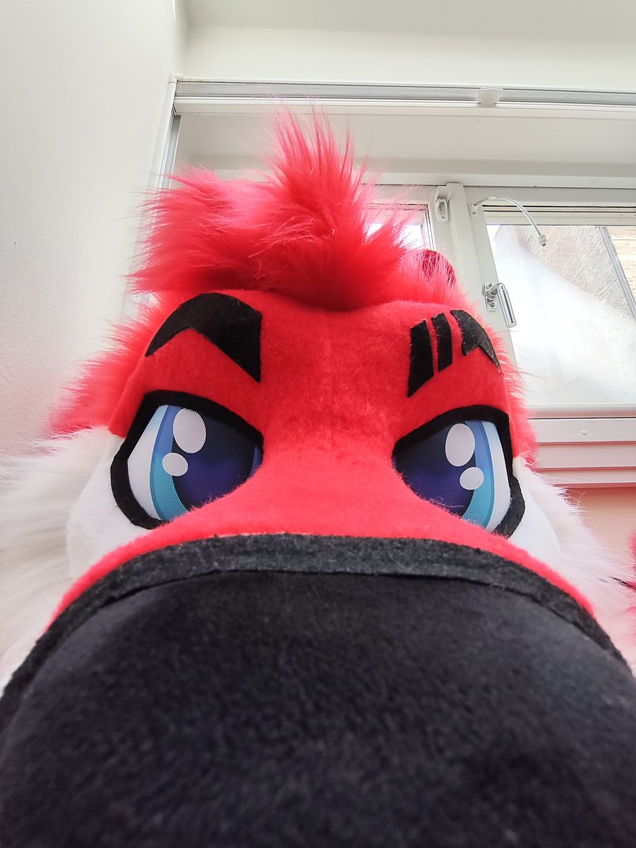 IsukanAD--- EF, Awoo, 2Dance tweet media