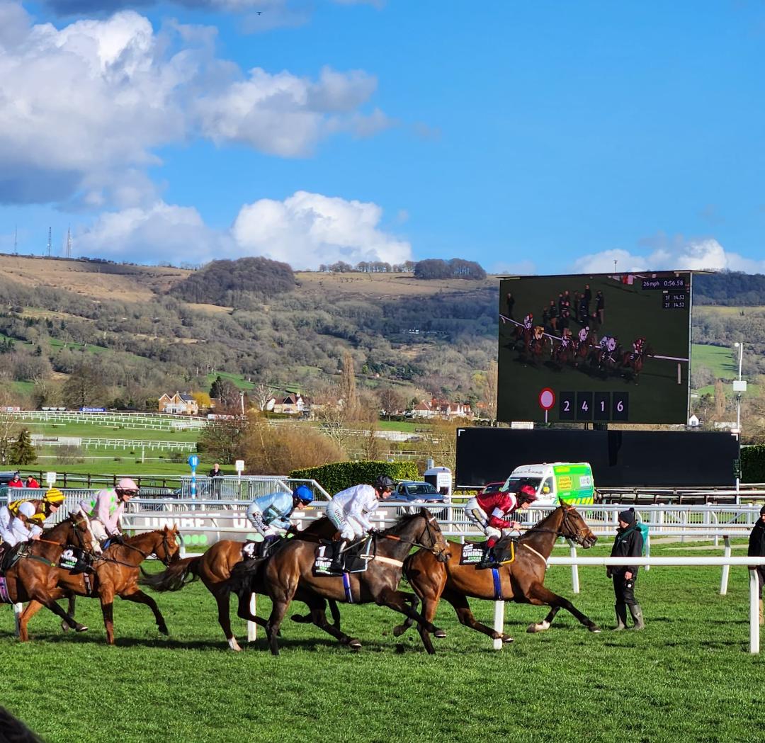 🚨 2 WEEKS TO THE 2026 CHELTENHAM FESTIVAL 🚨

THE GOOD TIMES ARE NEARLY BACK BABY! 😍 🏇