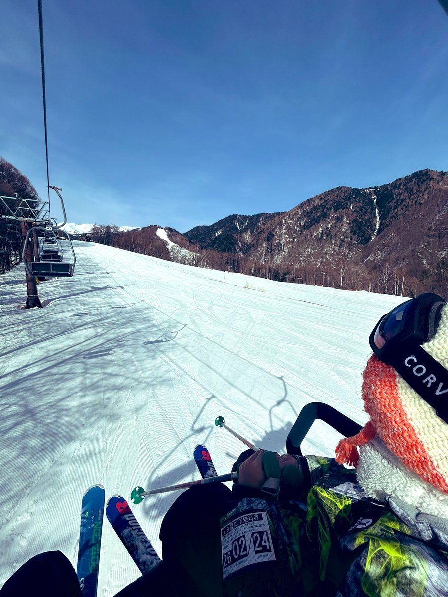 ✞四角い林檎✞ (@shikakui_ringo) / Posts / X