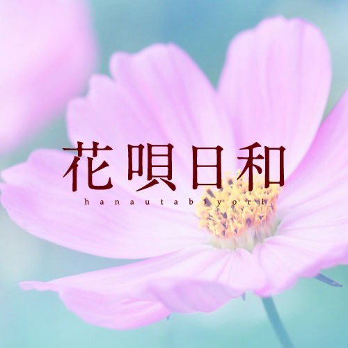 花唄日和 tweet media